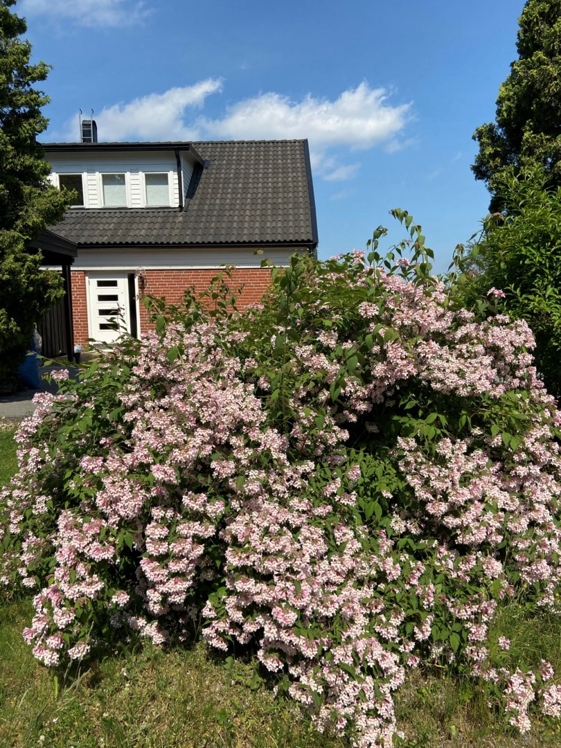 Bostadsbild från Tryffelvägen 1, Såld i Eknäs, Nacka