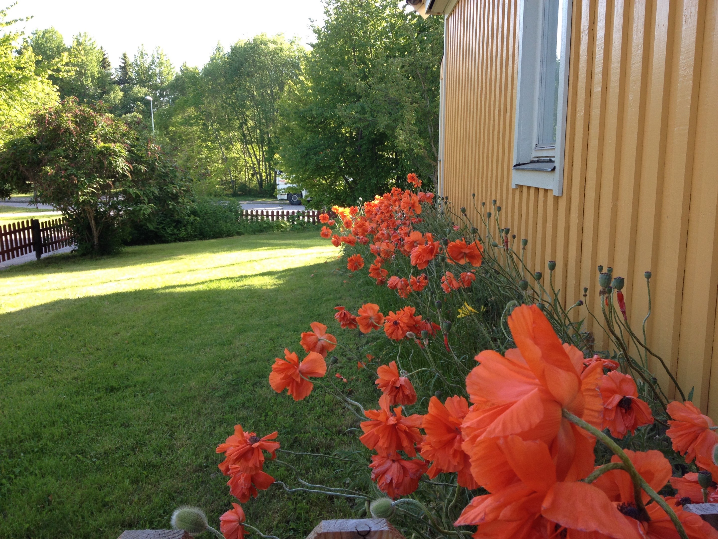 Bostadsbild från Ölstavägen 1, Såld i Örsundsbro, Enköping