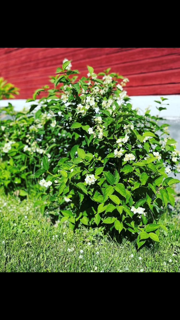Bostadsbild från Lövlundsvägen 7, Såld i Storvreta, Uppsala