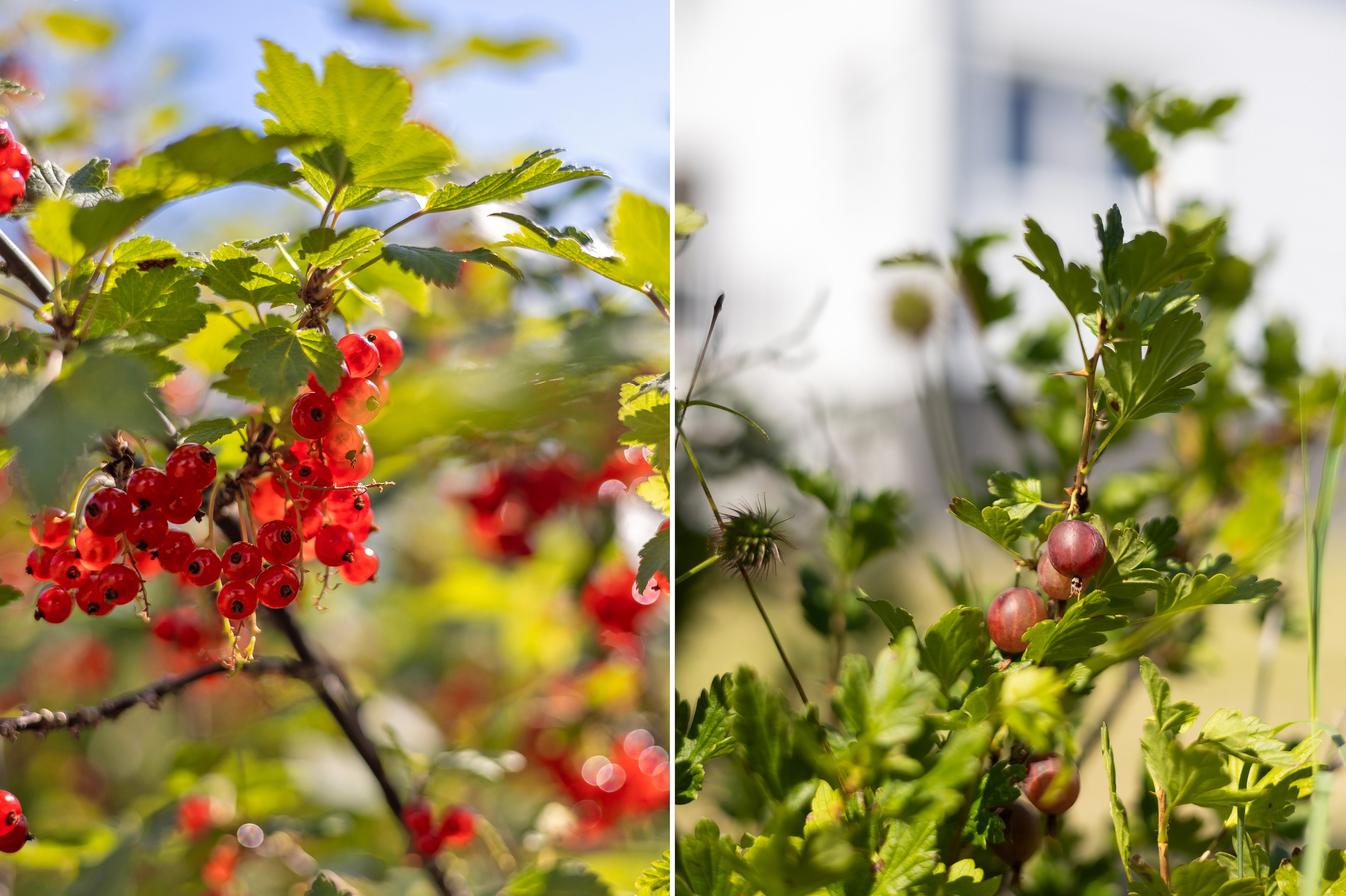 Bostadsbild från Verdandivägen 4, Såld i Morgongåva, Heby