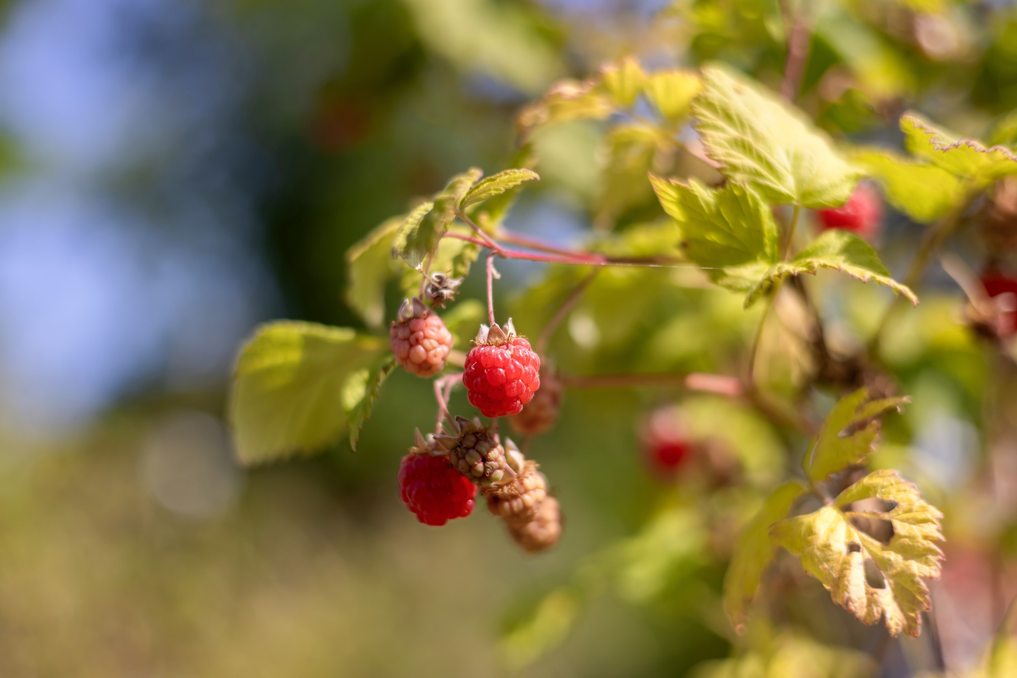 Bostadsbild från Verdandivägen 4, Såld i Morgongåva, Heby