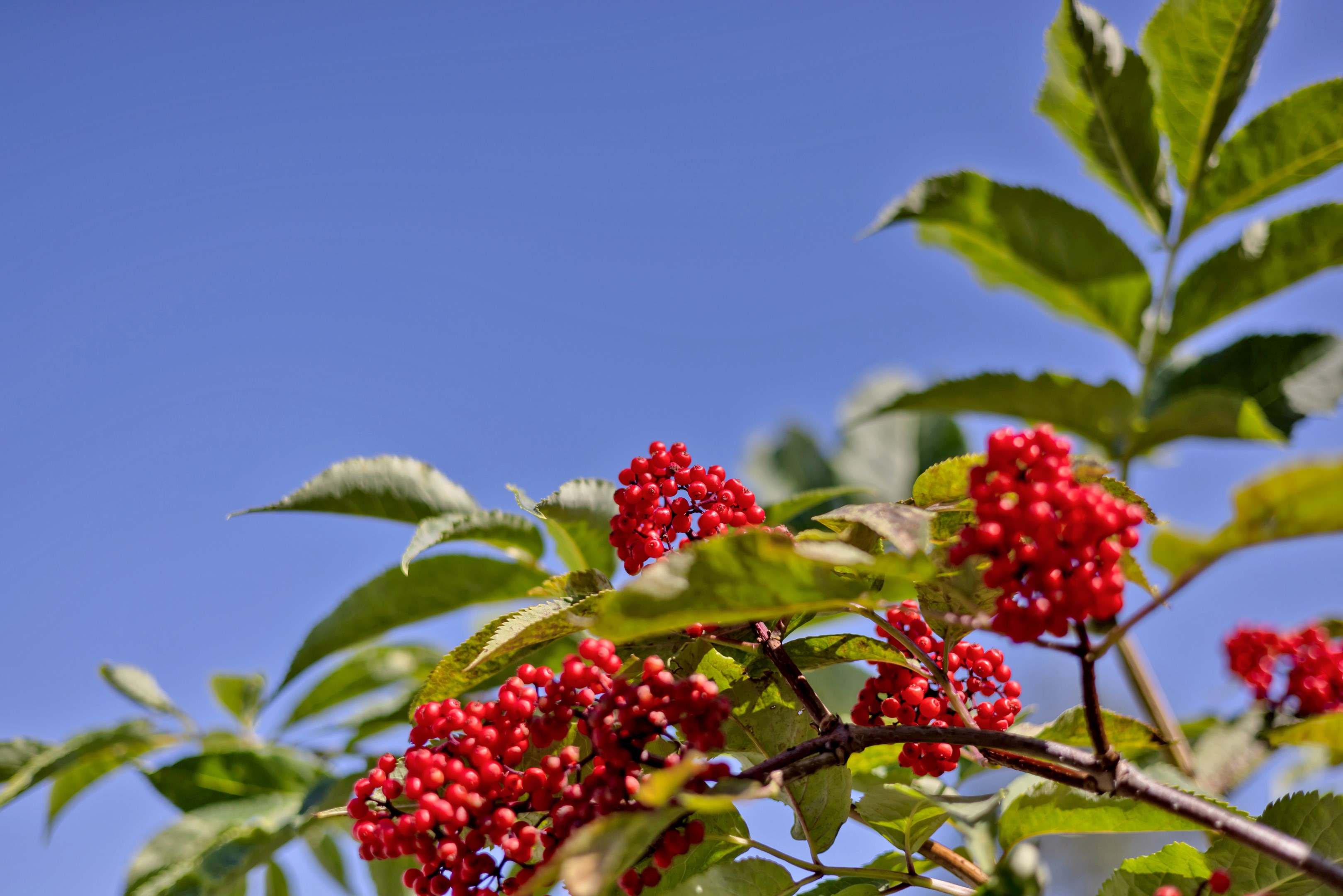 Bostadsbild från Verdandivägen 4, Såld i Morgongåva, Heby