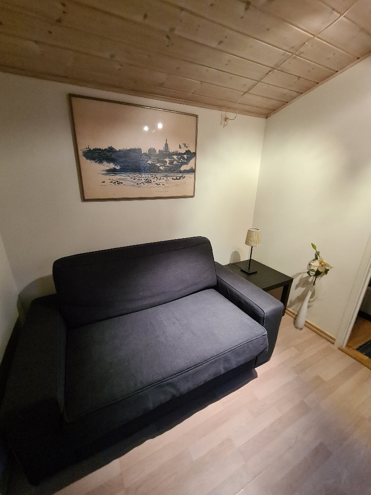 Ägarens bild: Gästhus allrum