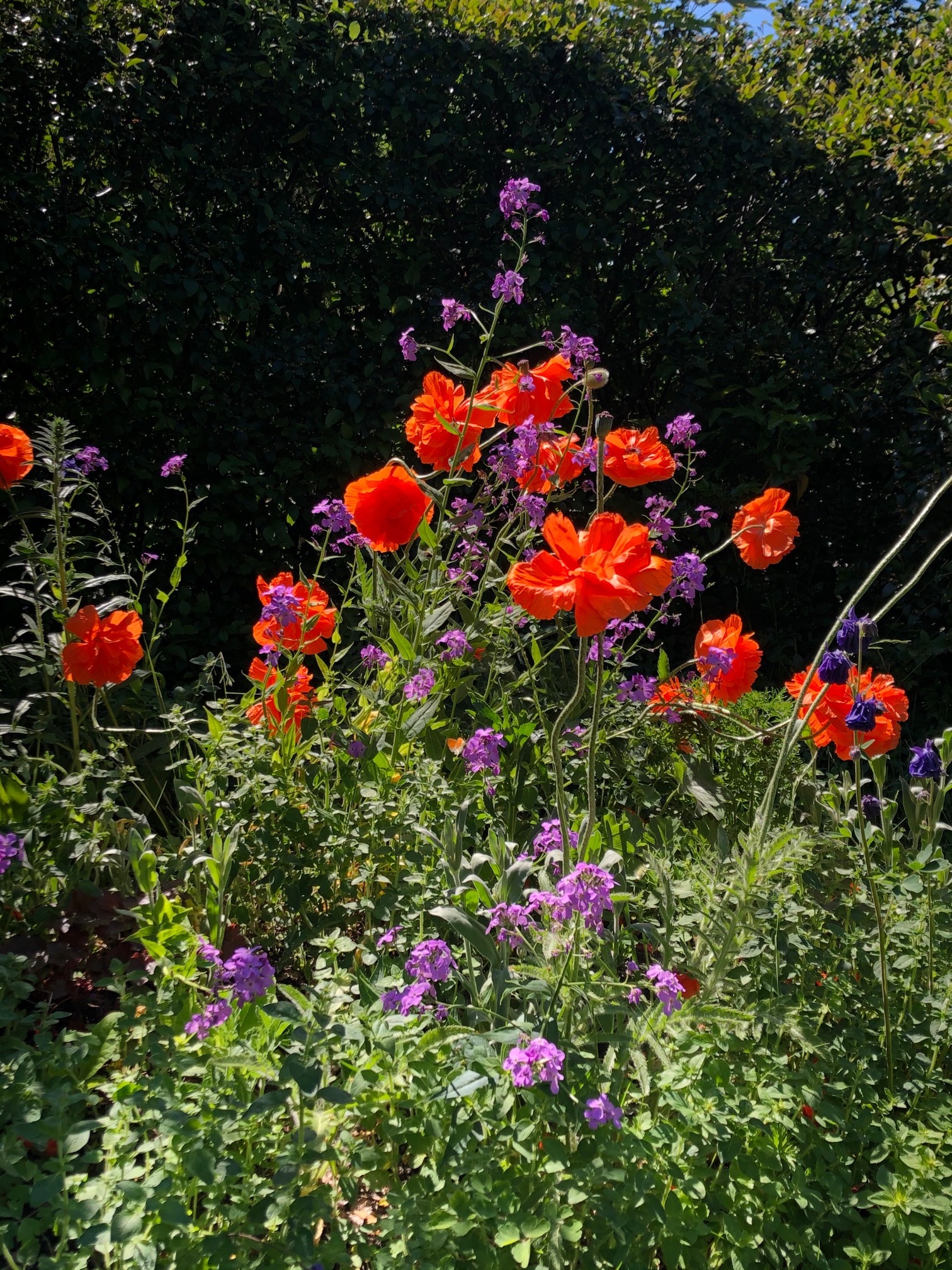 Bostadsbild från Rudsjövägen 50, Såld i Duvnäs Utskog, Nacka
