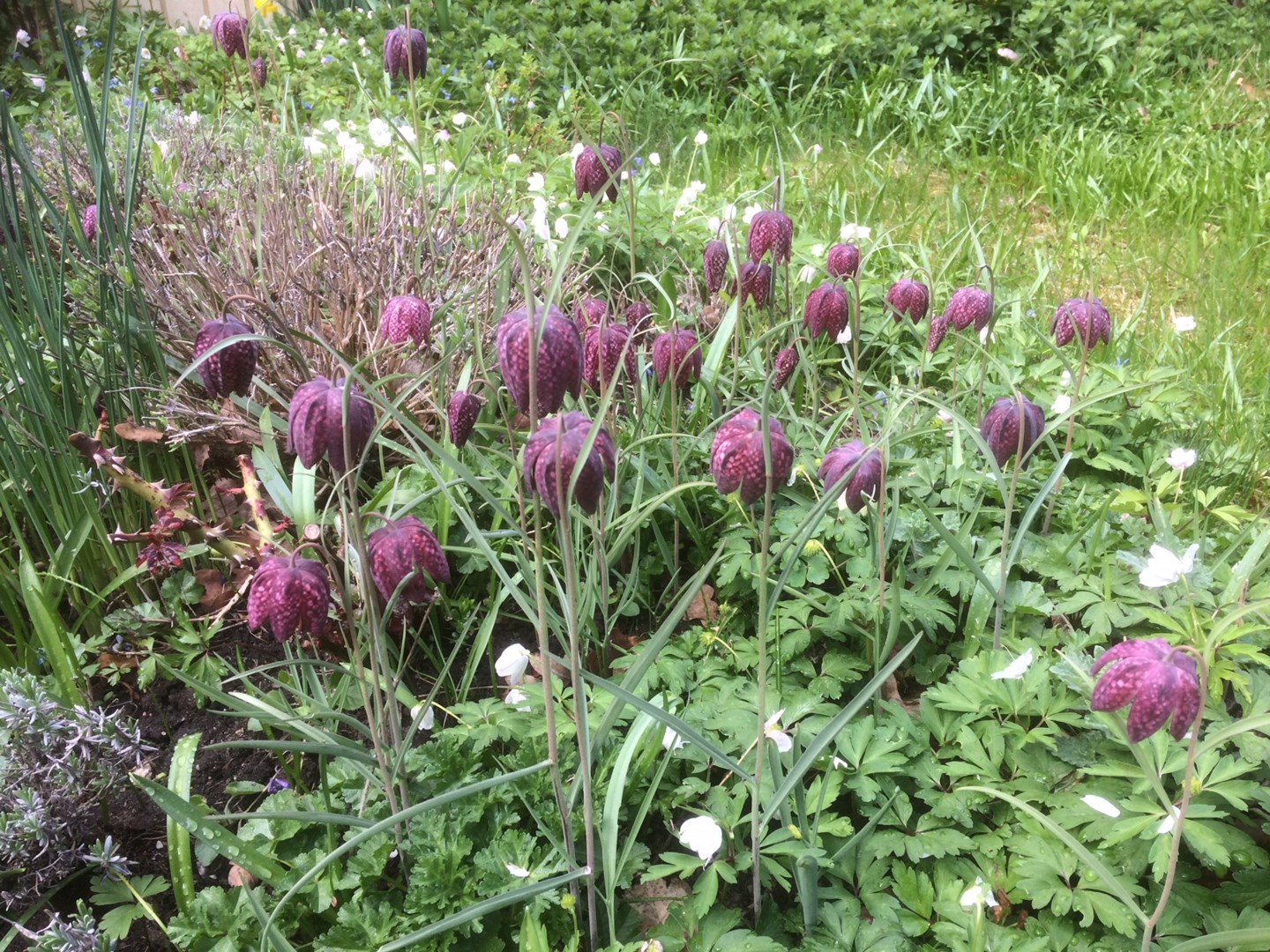 Bostadsbild från Rudsjövägen 50, Såld i Duvnäs Utskog, Nacka