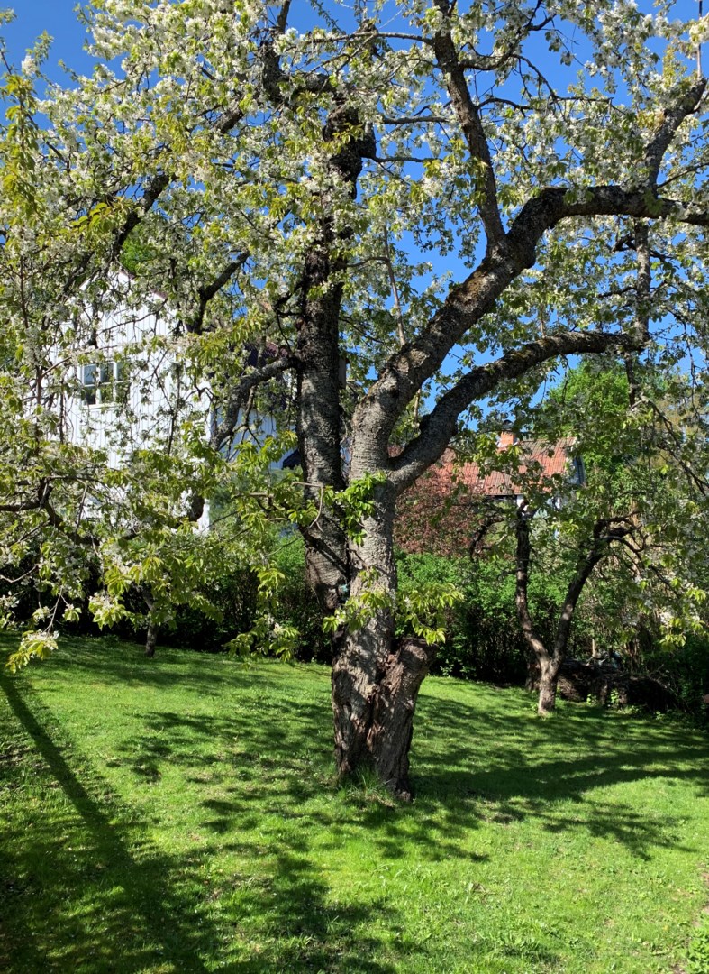 Bostadsbild från Östervägen 5, Såld i Hästhagen, Nacka