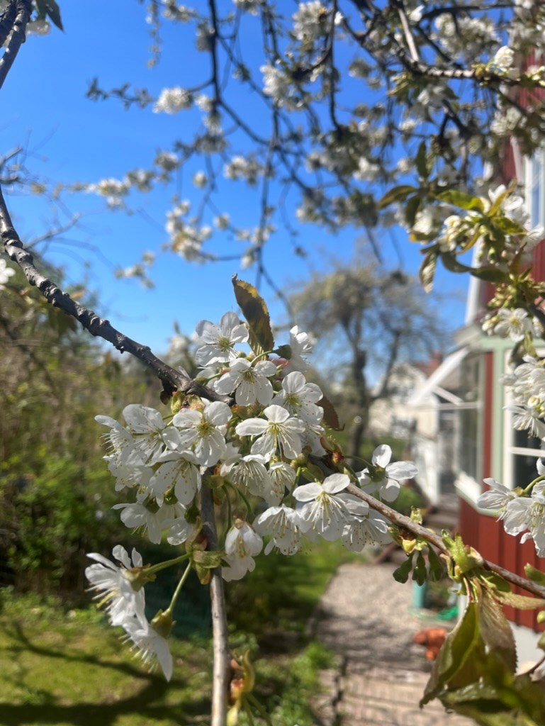 Bostadsbild från Östervägen 5, Såld i Hästhagen, Nacka