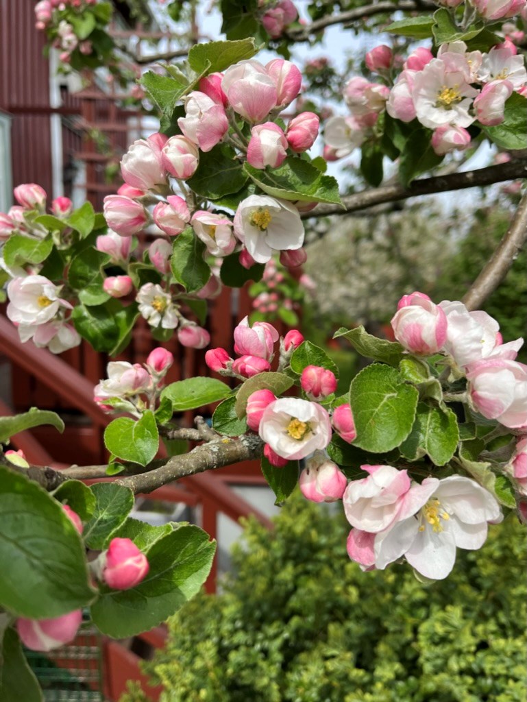 Bostadsbild från Östervägen 5, Såld i Hästhagen, Nacka