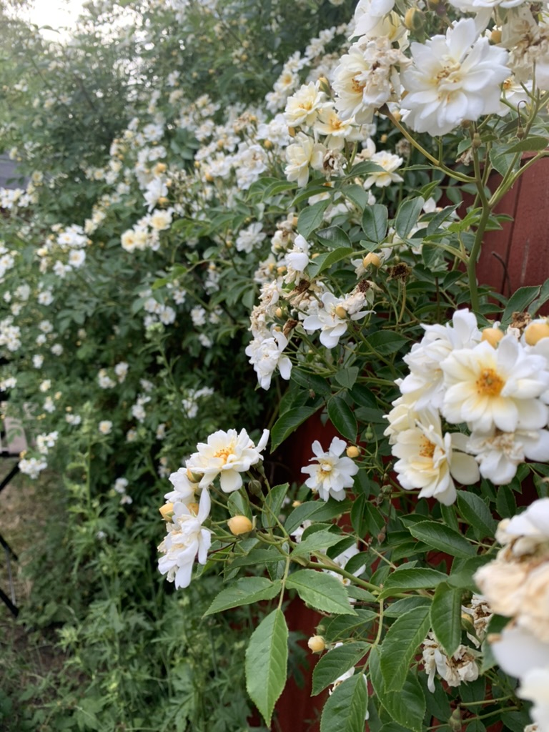 Bostadsbild från Östervägen 5, Såld i Hästhagen, Nacka