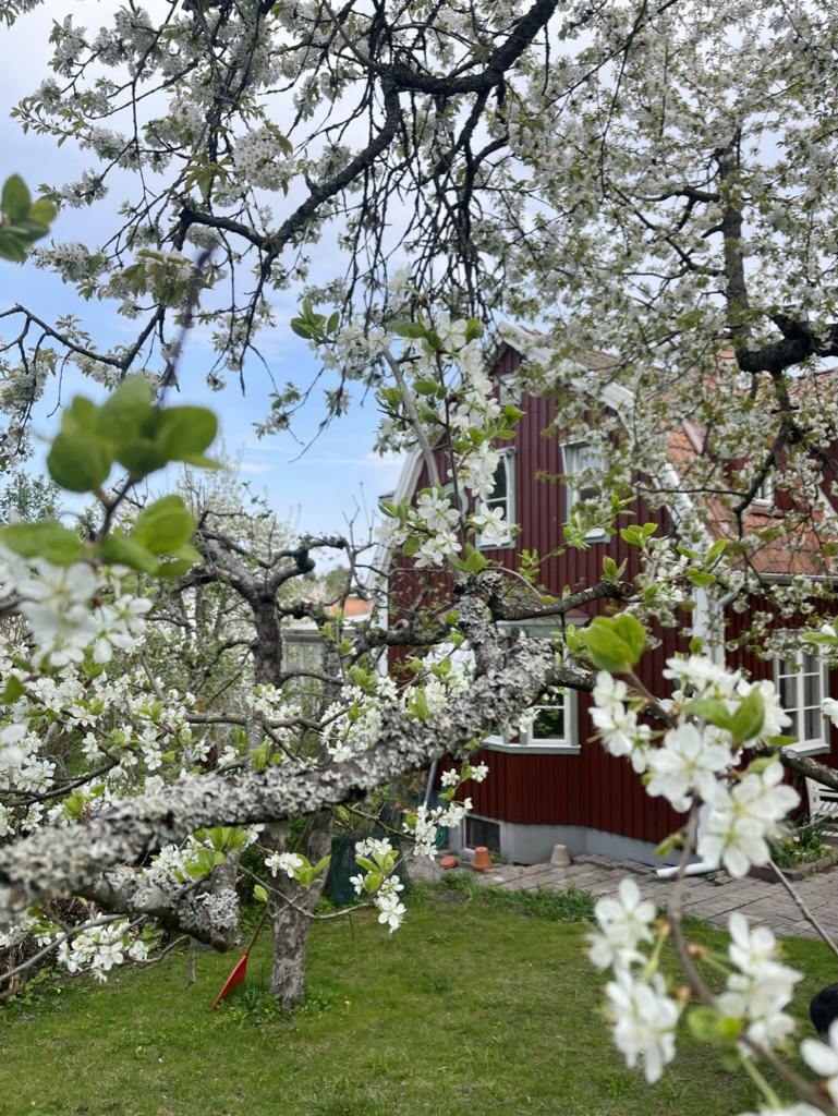 Bostadsbild från Östervägen 5, Såld i Hästhagen, Nacka