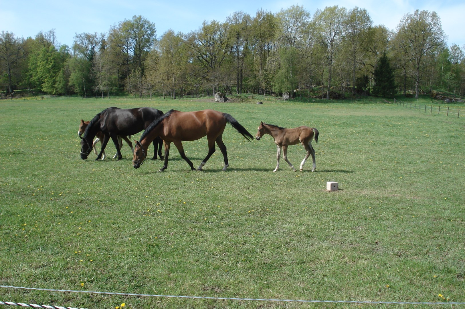 Bostadsbild från Grän Stallängen 43, Såld i Grän Stallängen, Uppsala