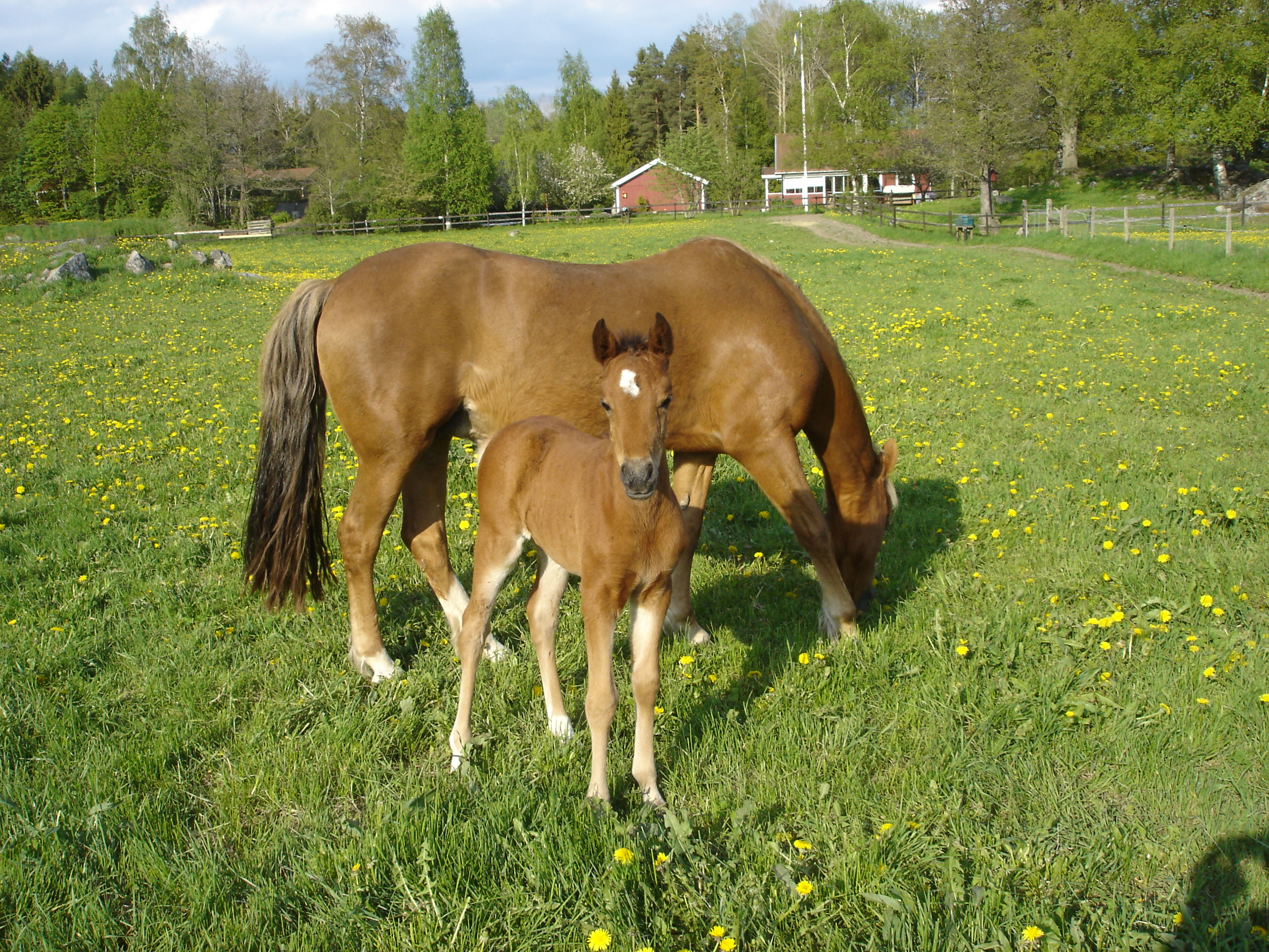Bostadsbild från Grän Stallängen 43, Såld i Grän Stallängen, Uppsala