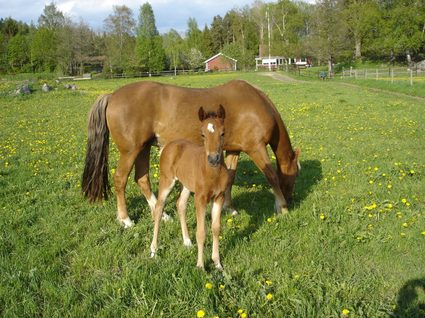 Bostadsbild från Grän Stallängen 43, Såld i Grän Stallängen, Uppsala