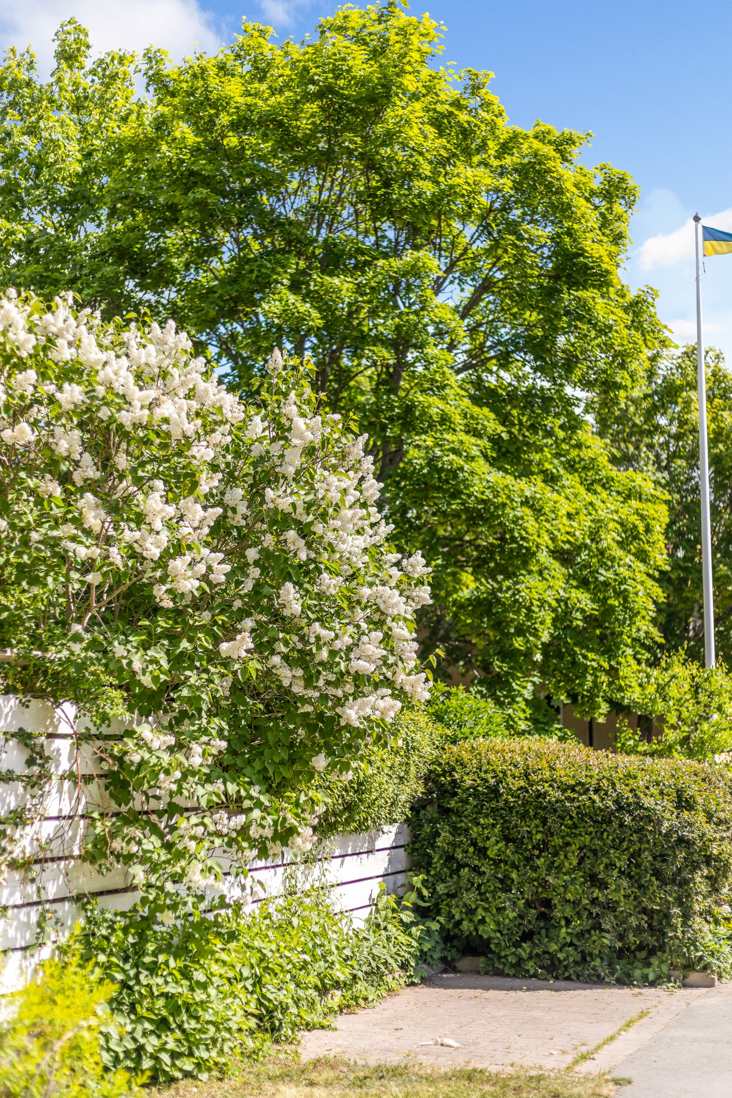 Bostadsbild från Svartbäcksgatan 48A, Såld i Svartbäcken, Uppsala