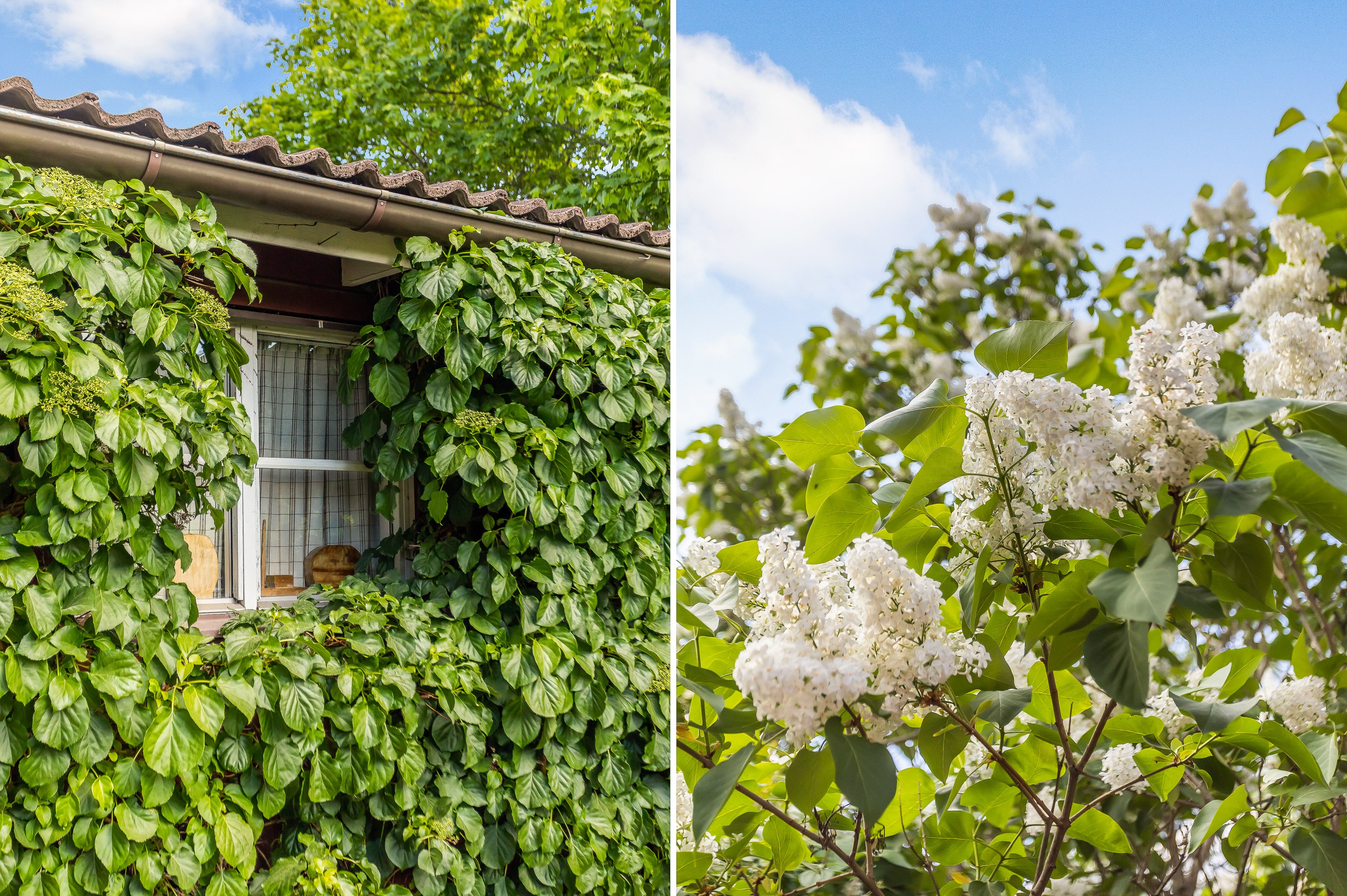 Bostadsbild från Svartbäcksgatan 48A, Såld i Svartbäcken, Uppsala