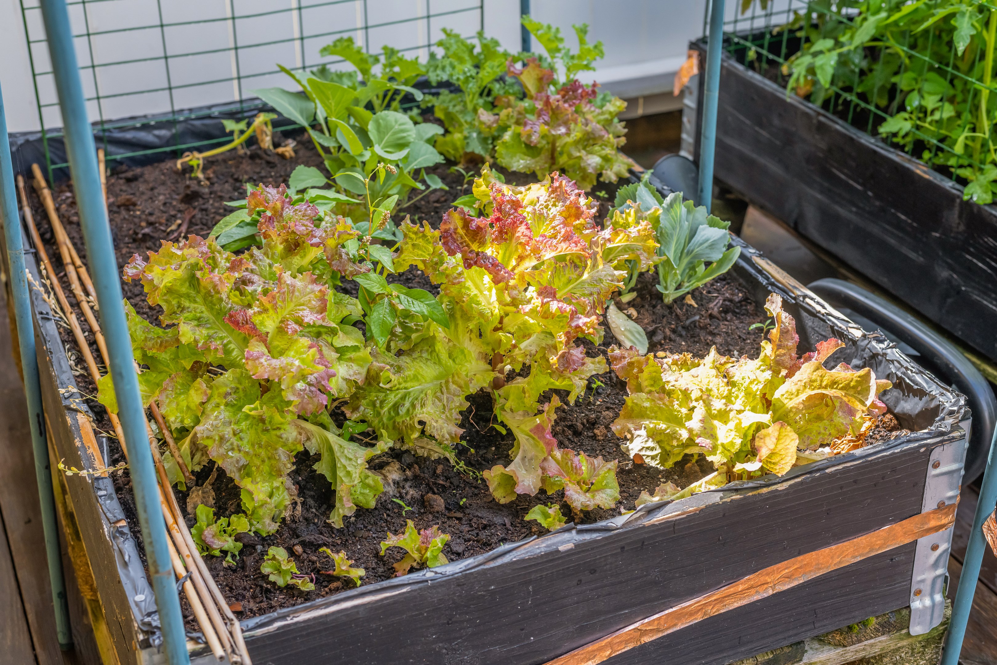 Bostadsbild från Rotfruktsgatan 16, Såld i Årsta, Uppsala