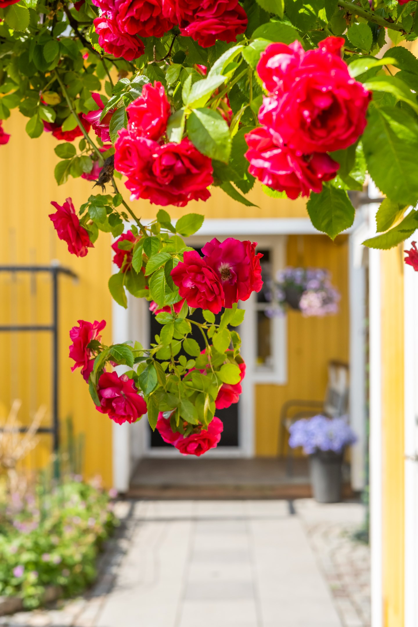 Bostadsbild från Rotfruktsgatan 16, Såld i Årsta, Uppsala