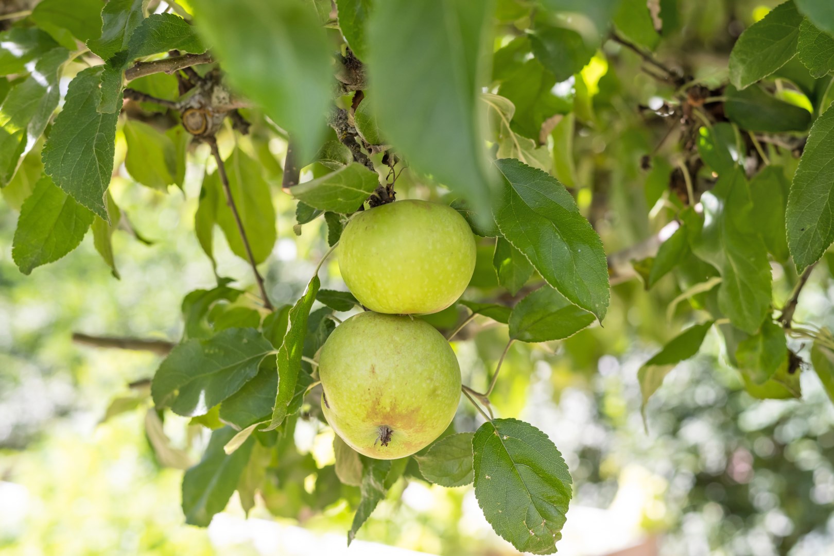 Bostadsbild från Arkitektvägen 60, Såld i Vänge, Uppsala