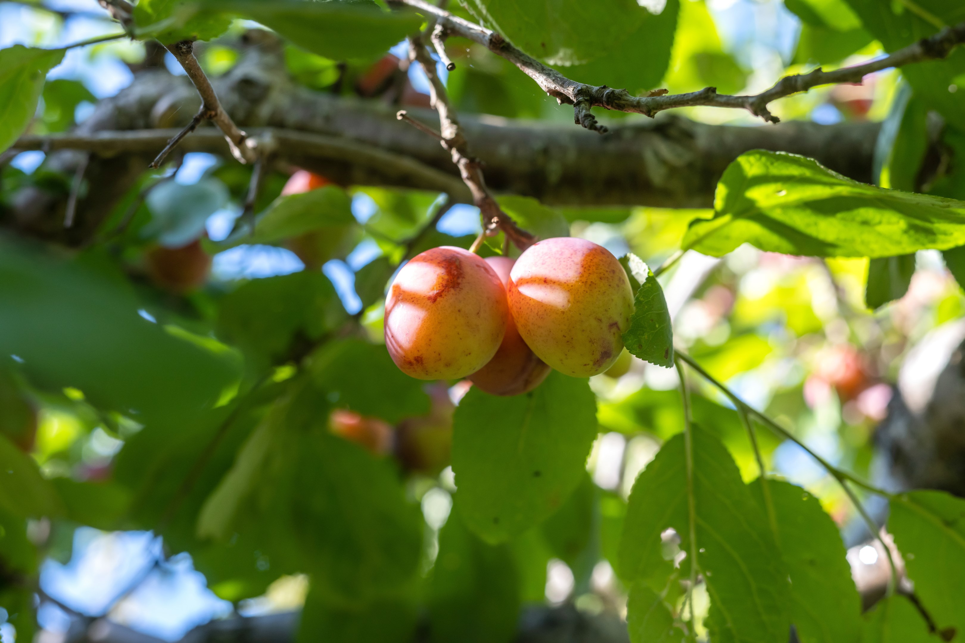 Bostadsbild från Rörbyvägen 2, Såld i Bälinge, Uppsala