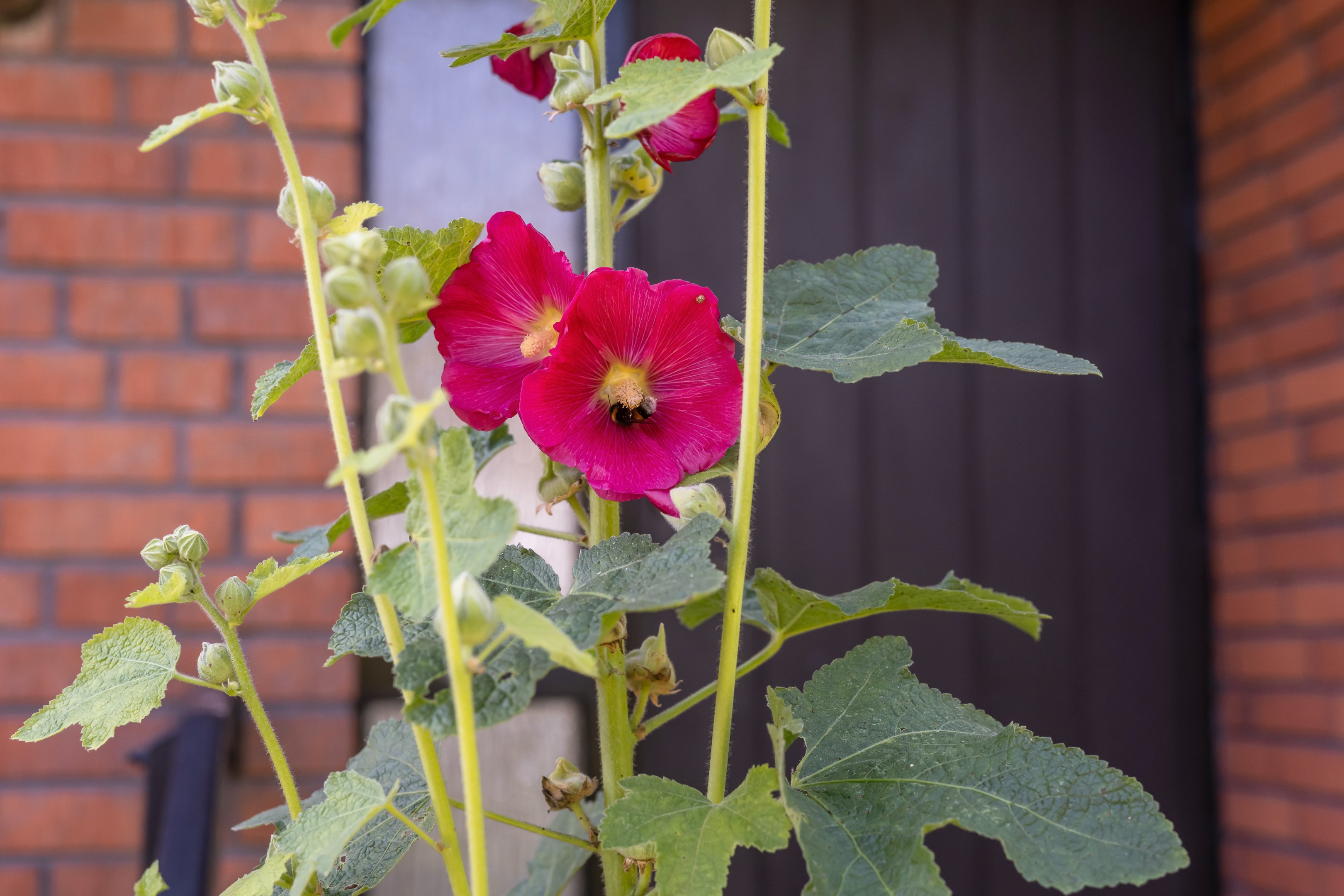 Bostadsbild från Rörbyvägen 2, Såld i Bälinge, Uppsala