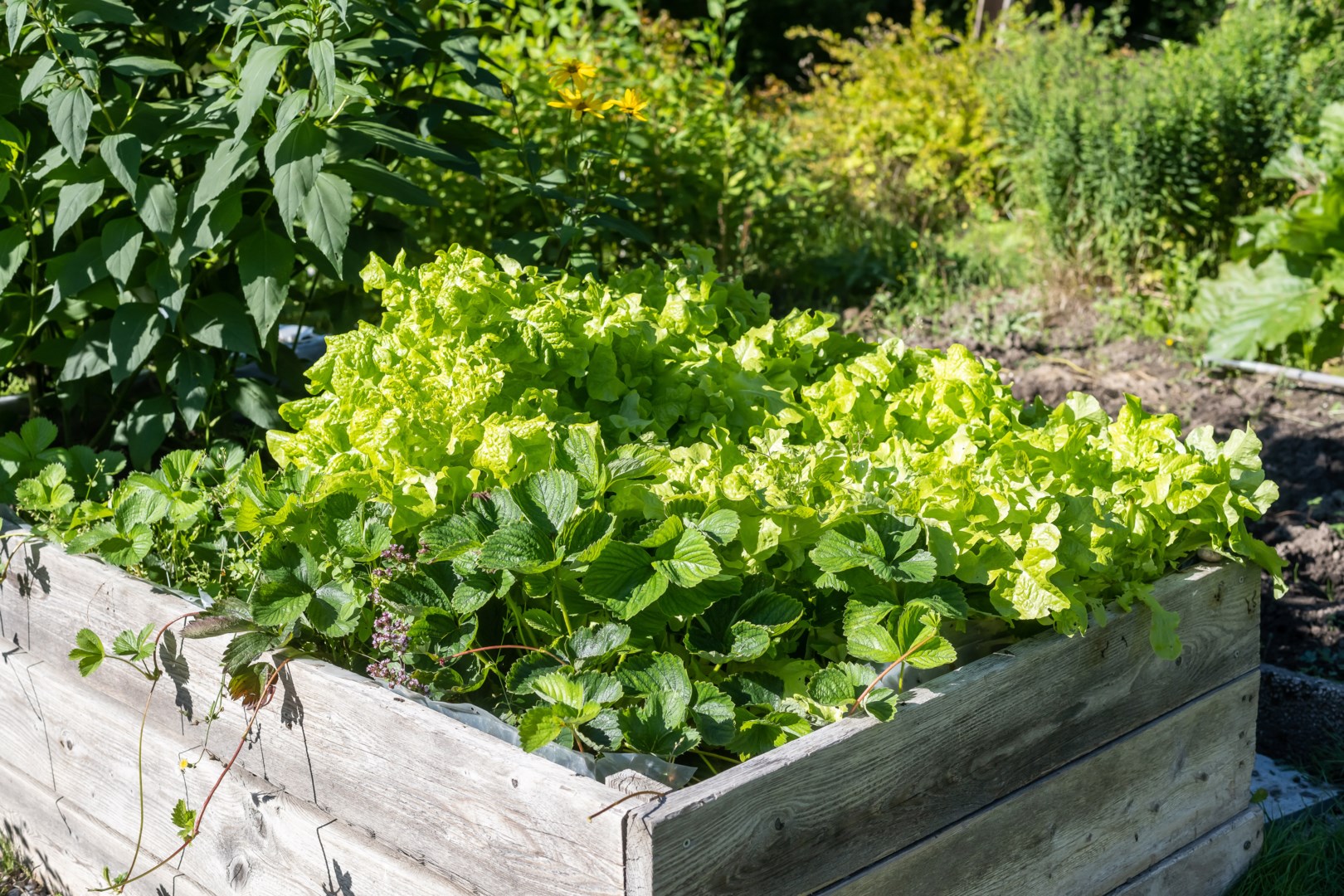 Bostadsbild från Rörbyvägen 2, Såld i Bälinge, Uppsala