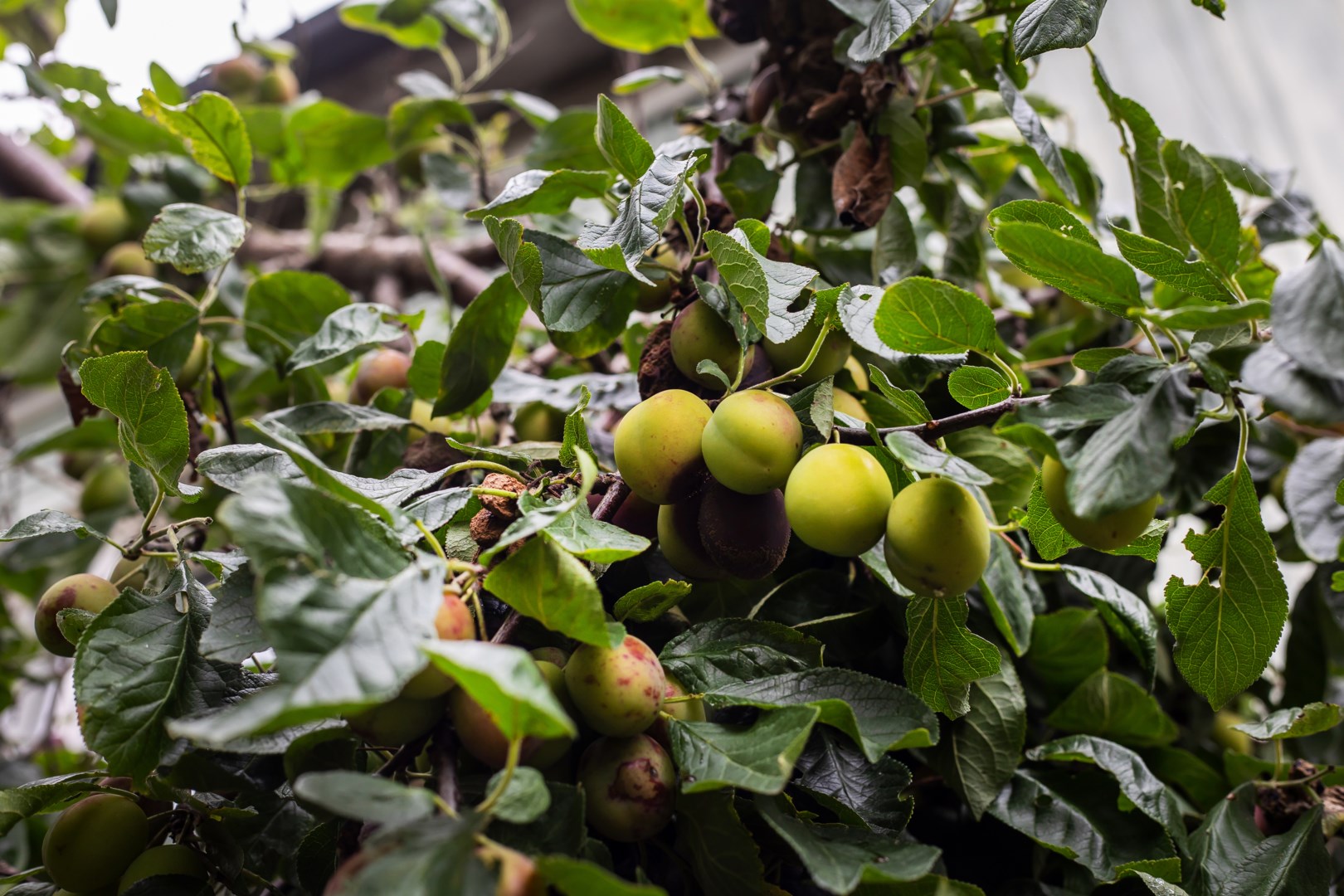 Bostadsbild från Harpungatan 6, Såld i Fiskarhöjden - Saltsjöbaden, Nacka
