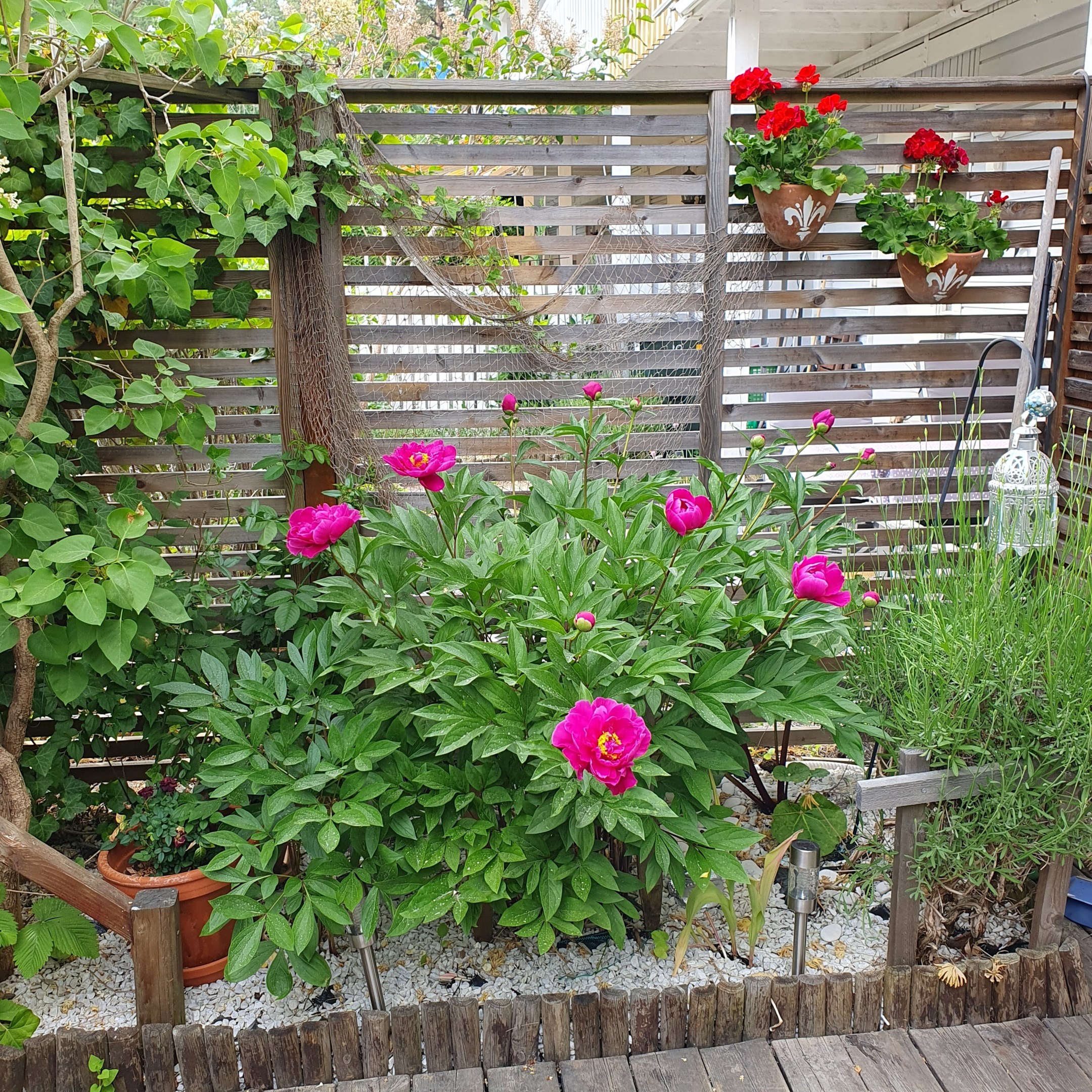 Bostadsbild från Harpungatan 6, Såld i Fiskarhöjden - Saltsjöbaden, Nacka