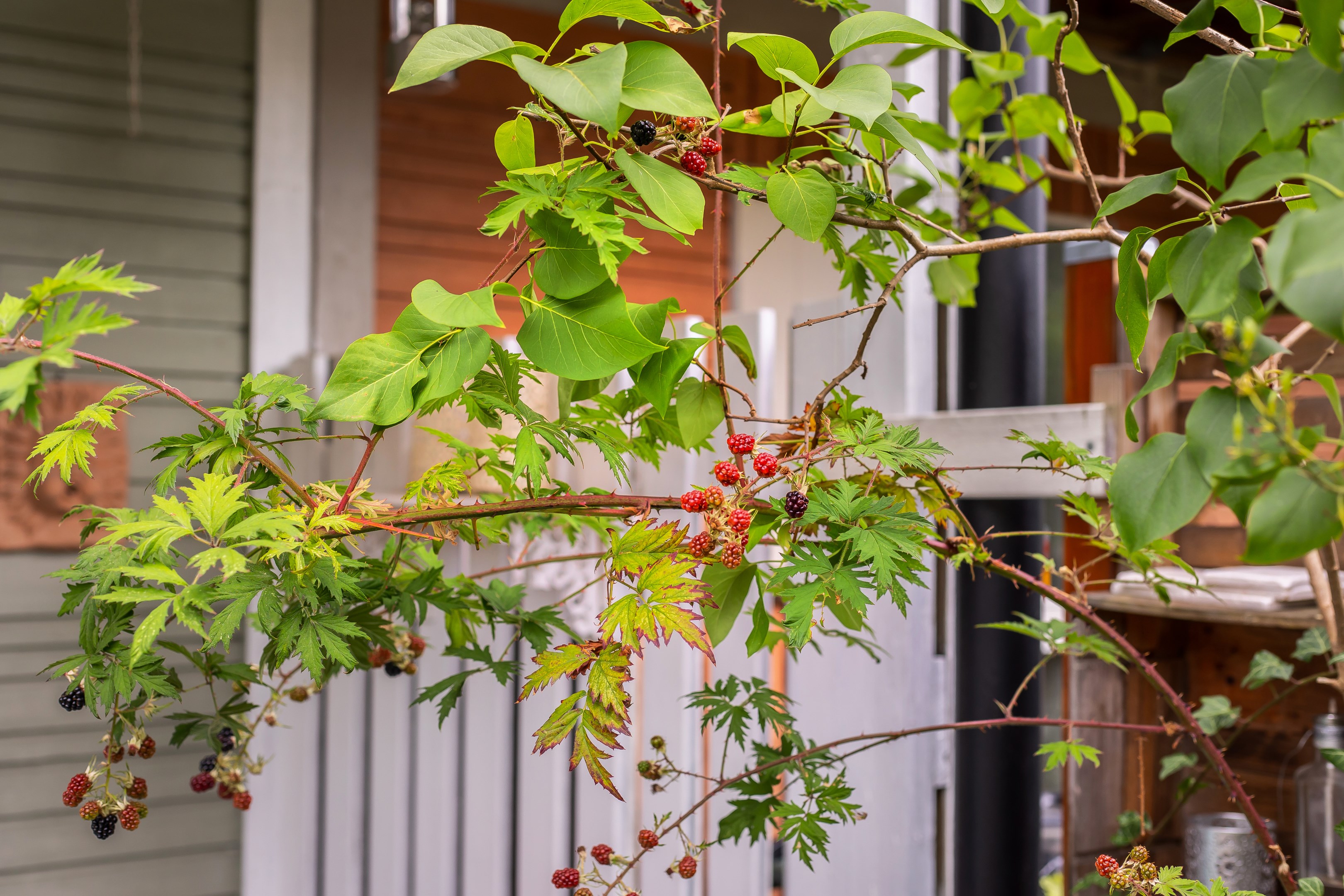 Bostadsbild från Harpungatan 6, Såld i Fiskarhöjden - Saltsjöbaden, Nacka