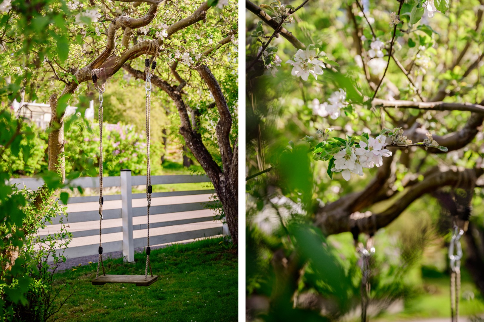 Utmed husets gavel växer äppel- och plommonträd.
