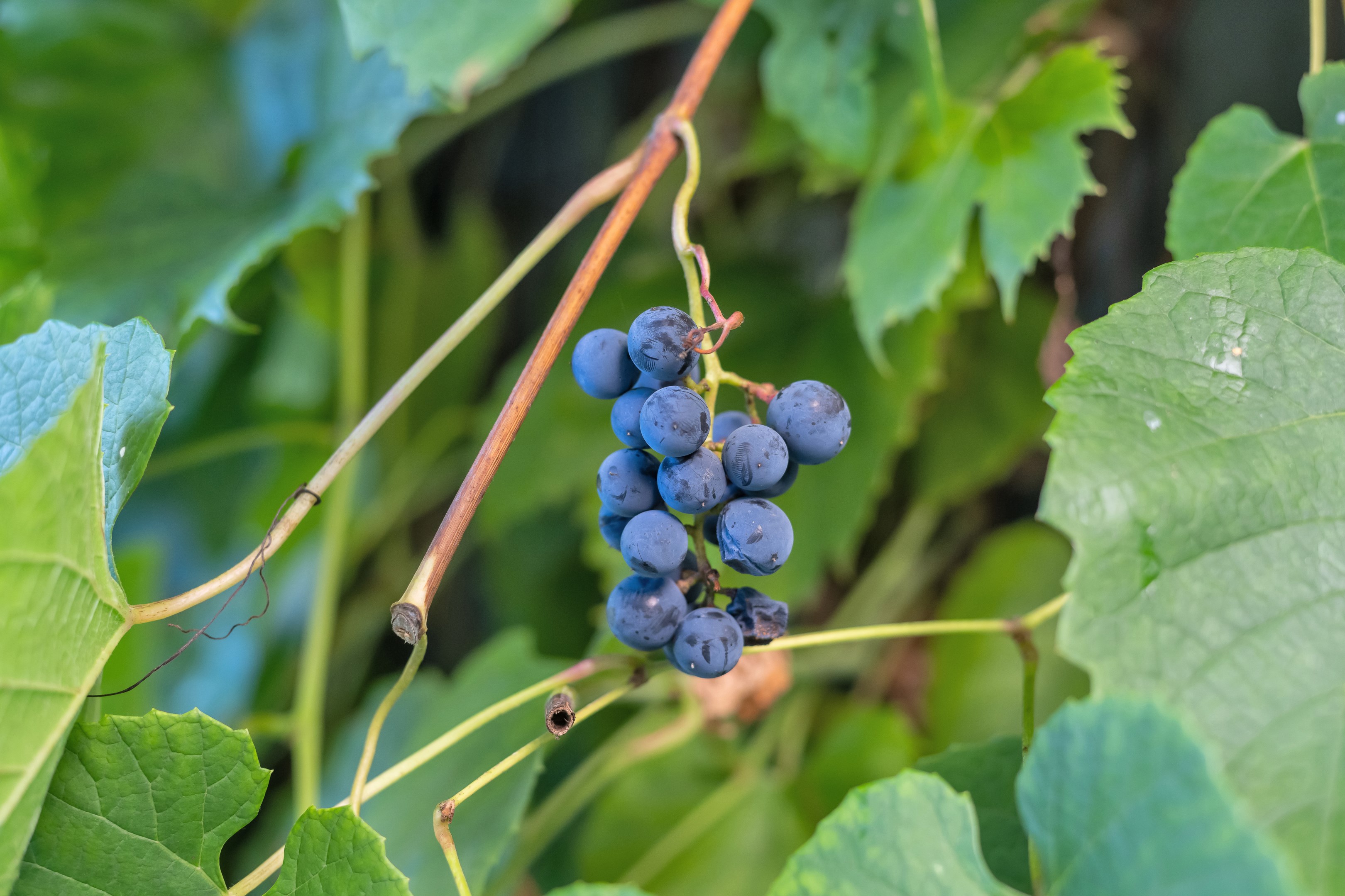 Bostadsbild från Bruksvägen 26, Såld i Eriksberg, Uppsala