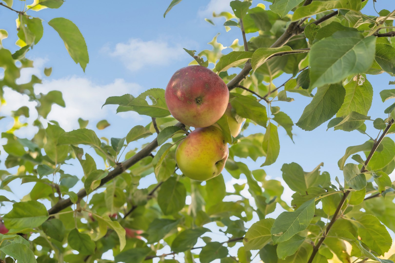 Bostadsbild från Bruksvägen 26, Såld i Eriksberg, Uppsala