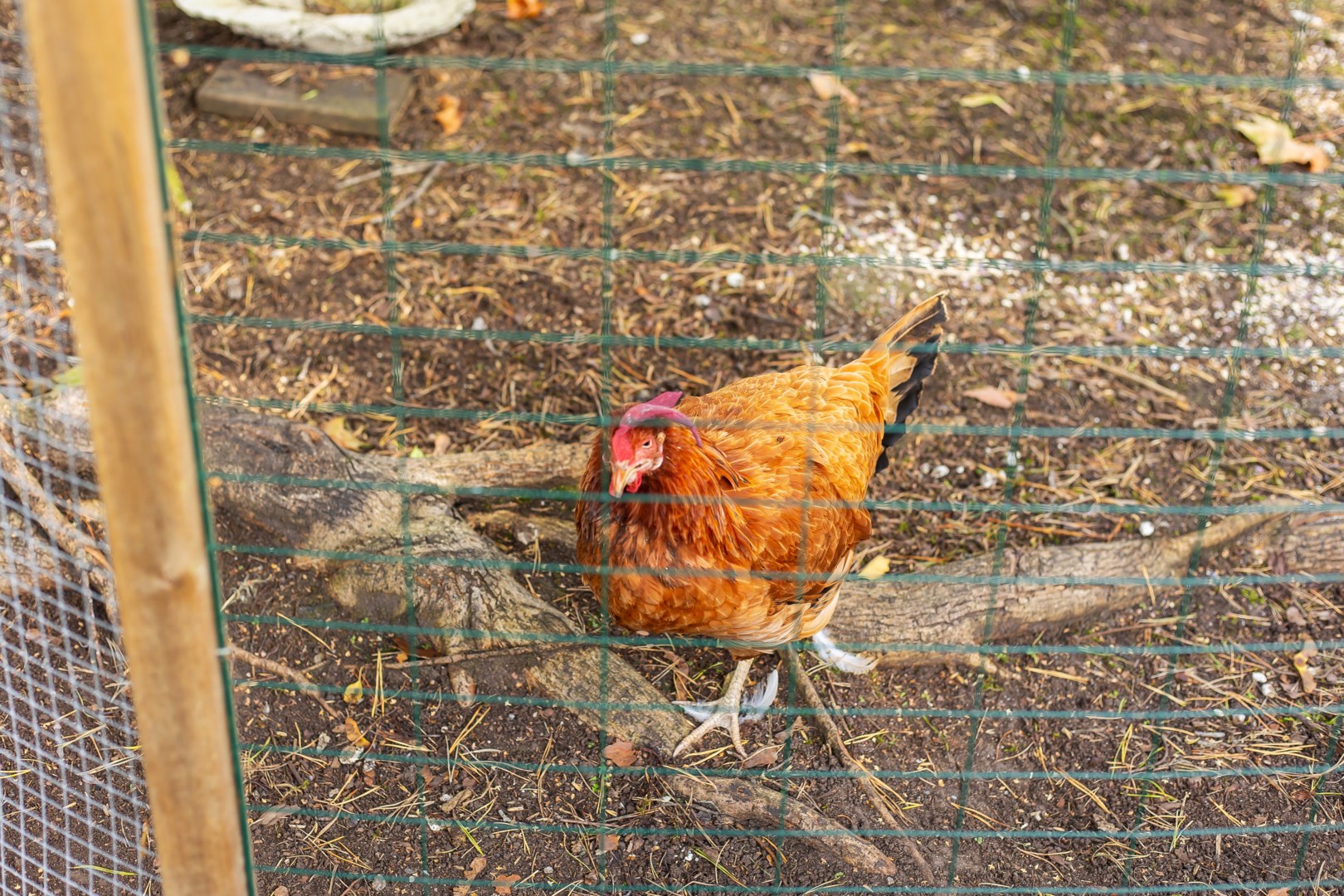 Bostadsbild från Lövdalsvägen 28, Såld i Björknäs, Nacka