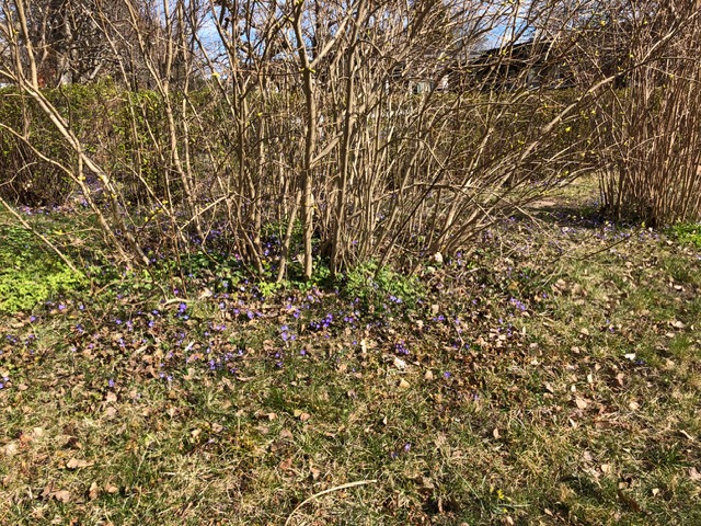 Bostadsbild från Talgoxvägen 17, Såld i Sunnersta, Uppsala