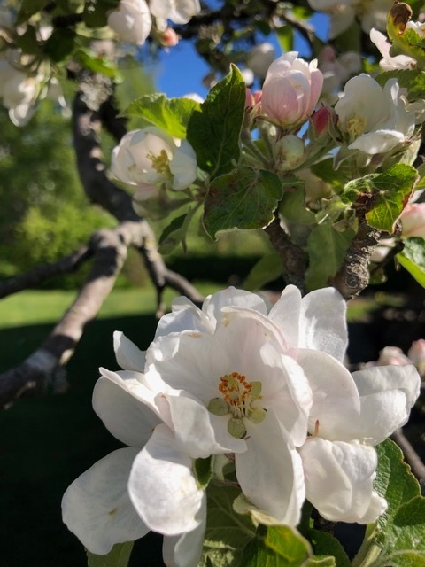 Bostadsbild från Talgoxvägen 17, Såld i Sunnersta, Uppsala