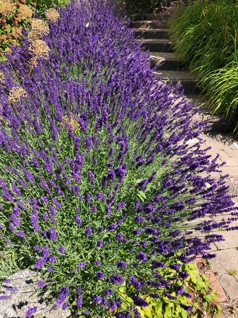 Bostadsbild från Talgoxvägen 17, Såld i Sunnersta, Uppsala