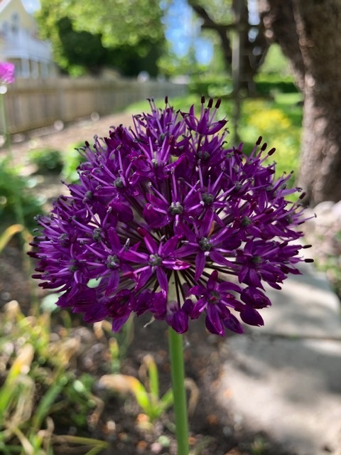 Bostadsbild från Talgoxvägen 17, Såld i Sunnersta, Uppsala