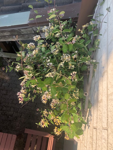 Bostadsbild från Furugatan 11 B, Såld i Fålhagen, Uppsala