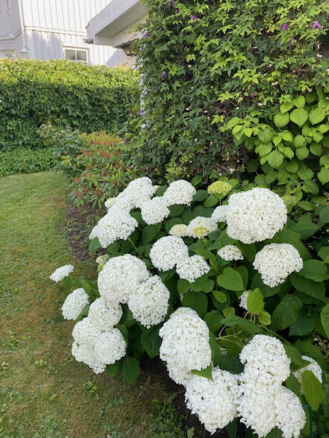 Bostadsbild från Furugatan 11 B, Såld i Fålhagen, Uppsala