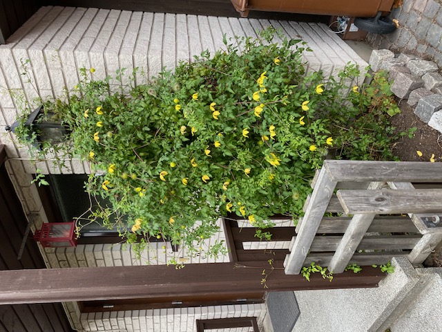 Bostadsbild från Furugatan 11 B, Såld i Fålhagen, Uppsala