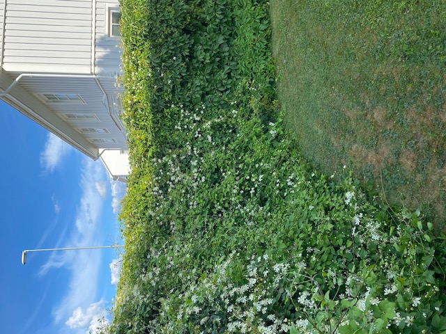 Bostadsbild från Furugatan 11 B, Såld i Fålhagen, Uppsala