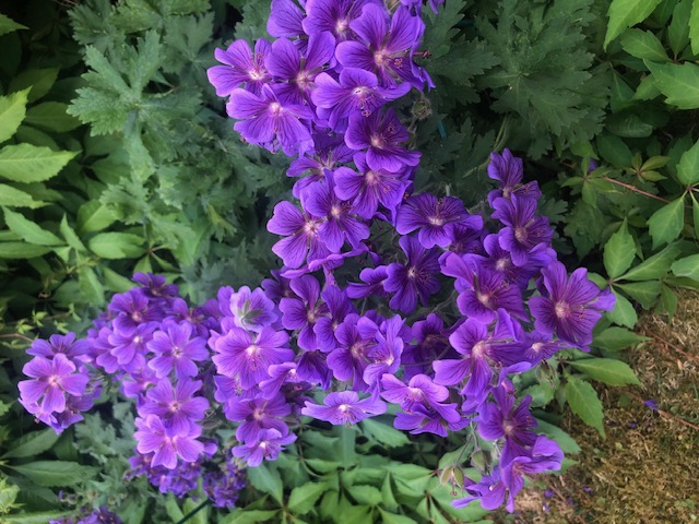 Bostadsbild från Furugatan 11 B, Såld i Fålhagen, Uppsala