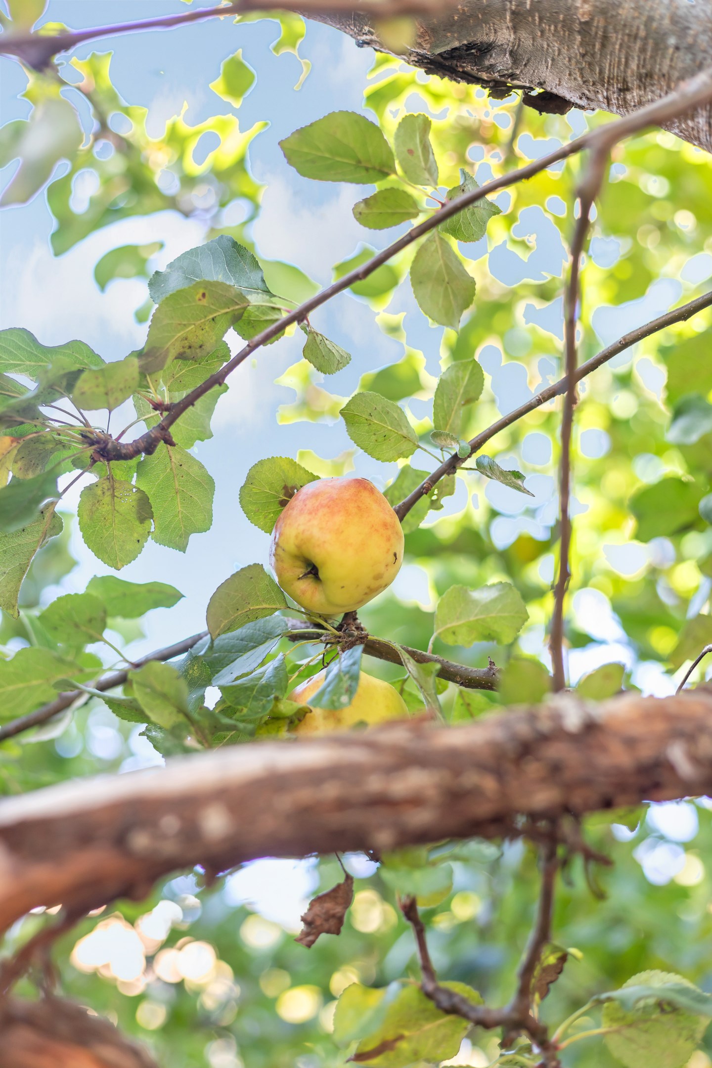 Bostadsbild från Stabby allé 6D, Såld i Luthagen, Uppsala