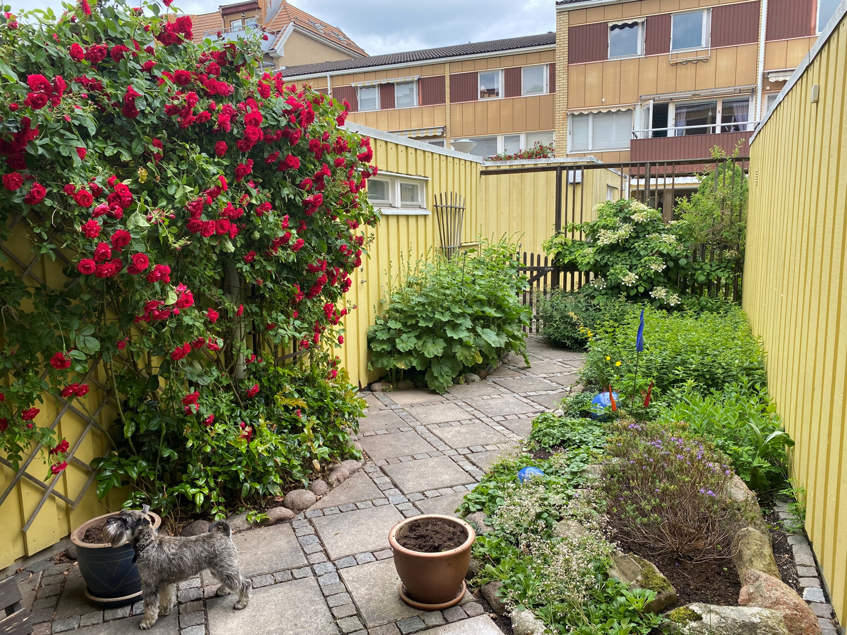 Bostadsbild från Timmermansgatan 10C, Såld i Svartbäcken, Uppsala