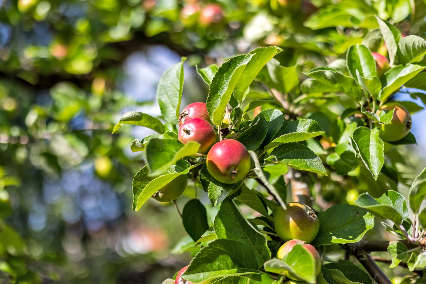 Bostadsbild från Vattgårdsvägen 18, Såld i Storvreta, Uppsala