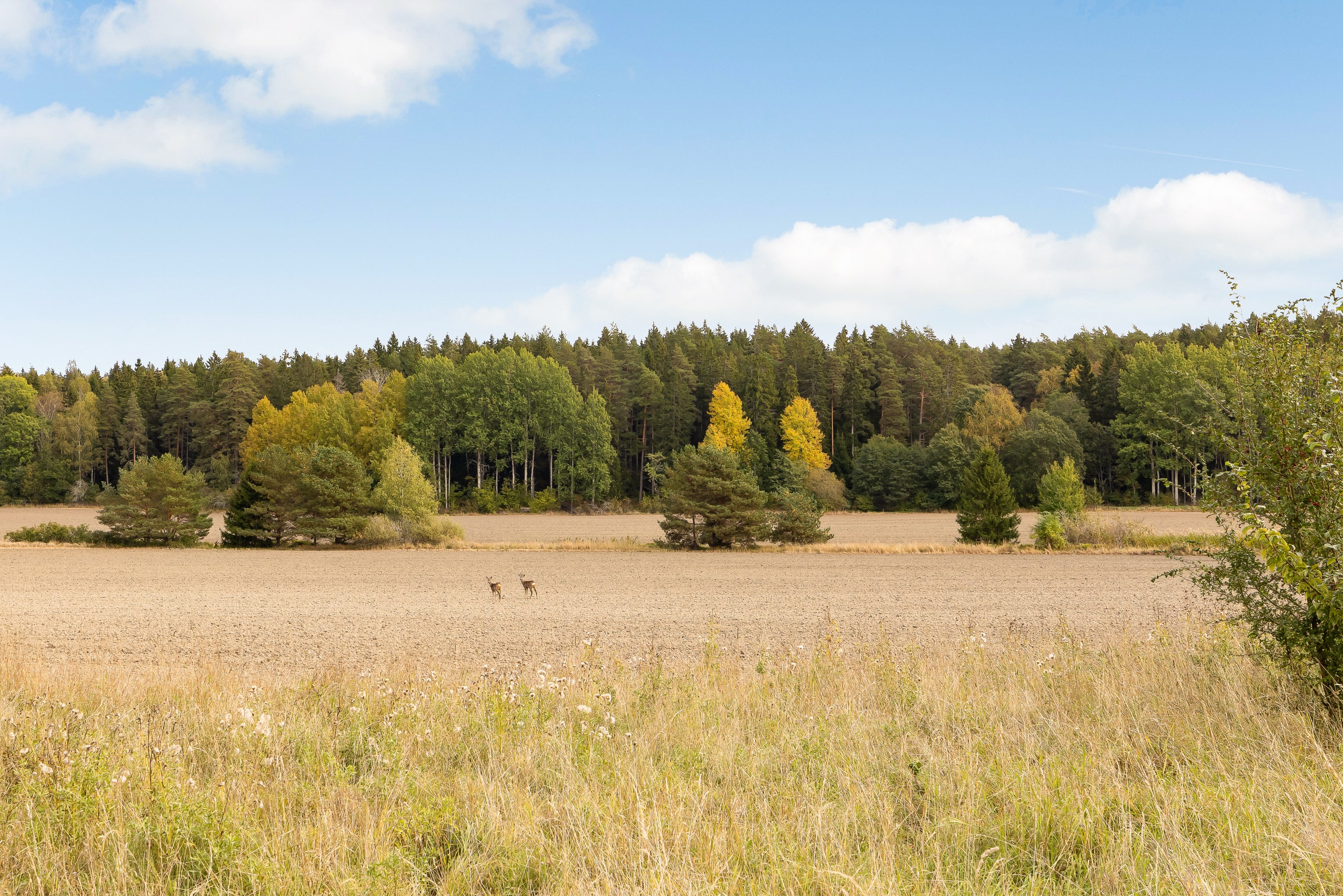 Bostadsbild från Gnejsvägen 10, Såld i Til, Sigtuna