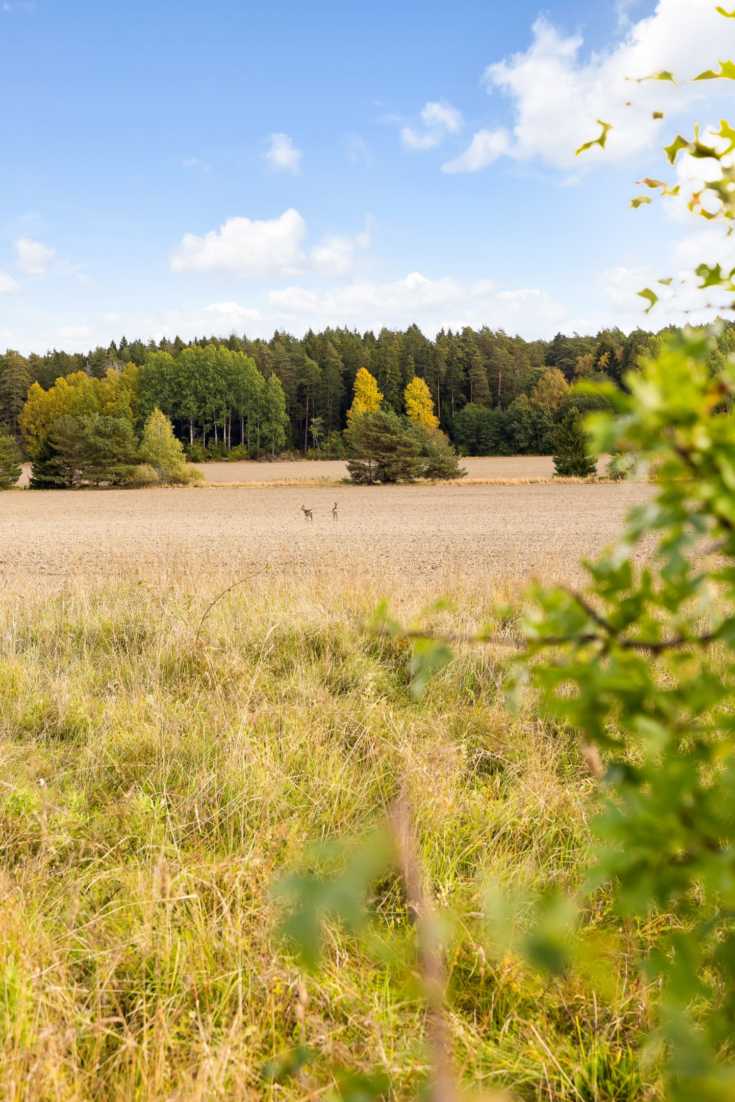 Bostadsbild från Gnejsvägen 10, Såld i Til, Sigtuna