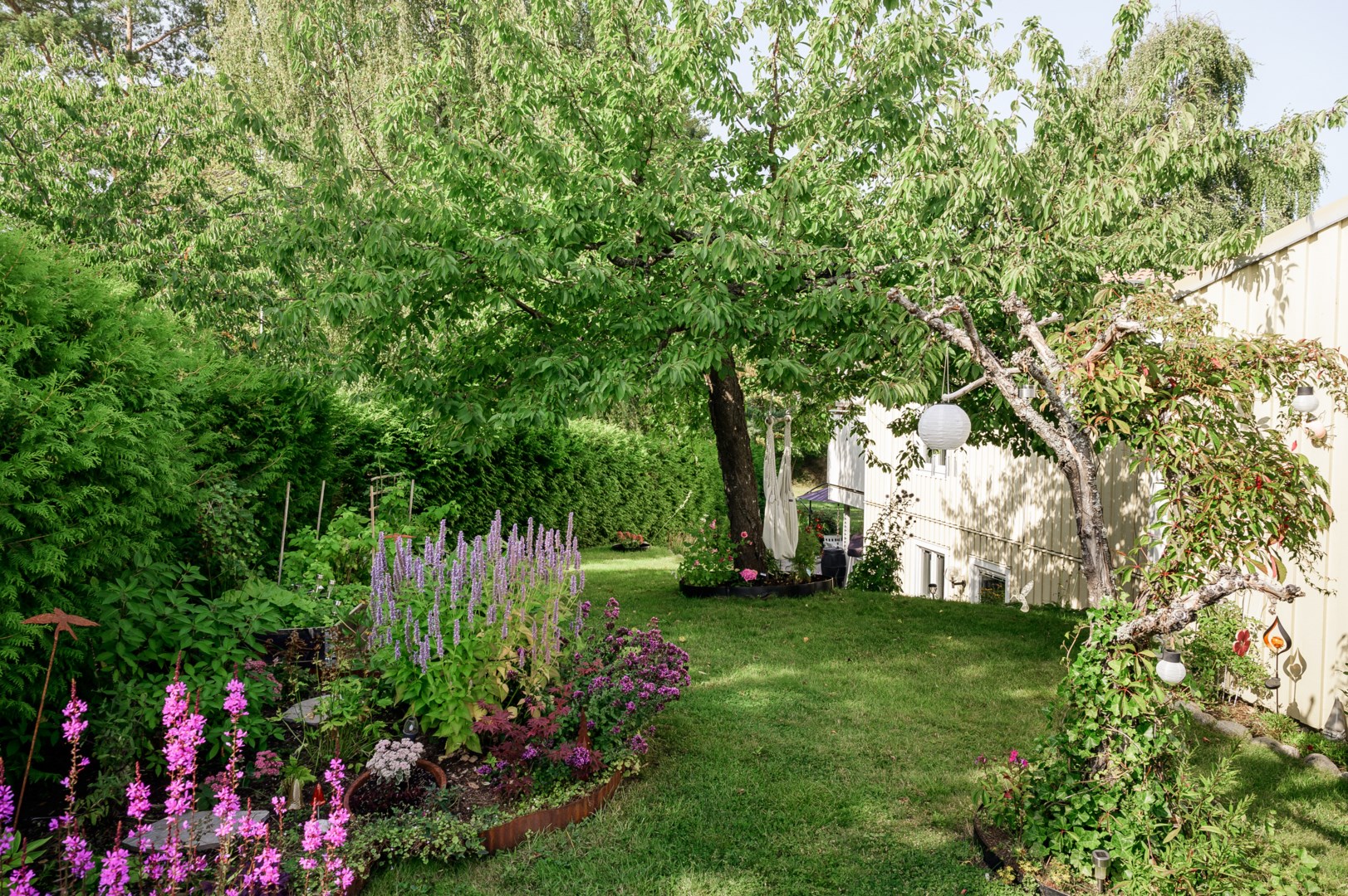 Uppvuxen trädgård utmed husets södra fasad.