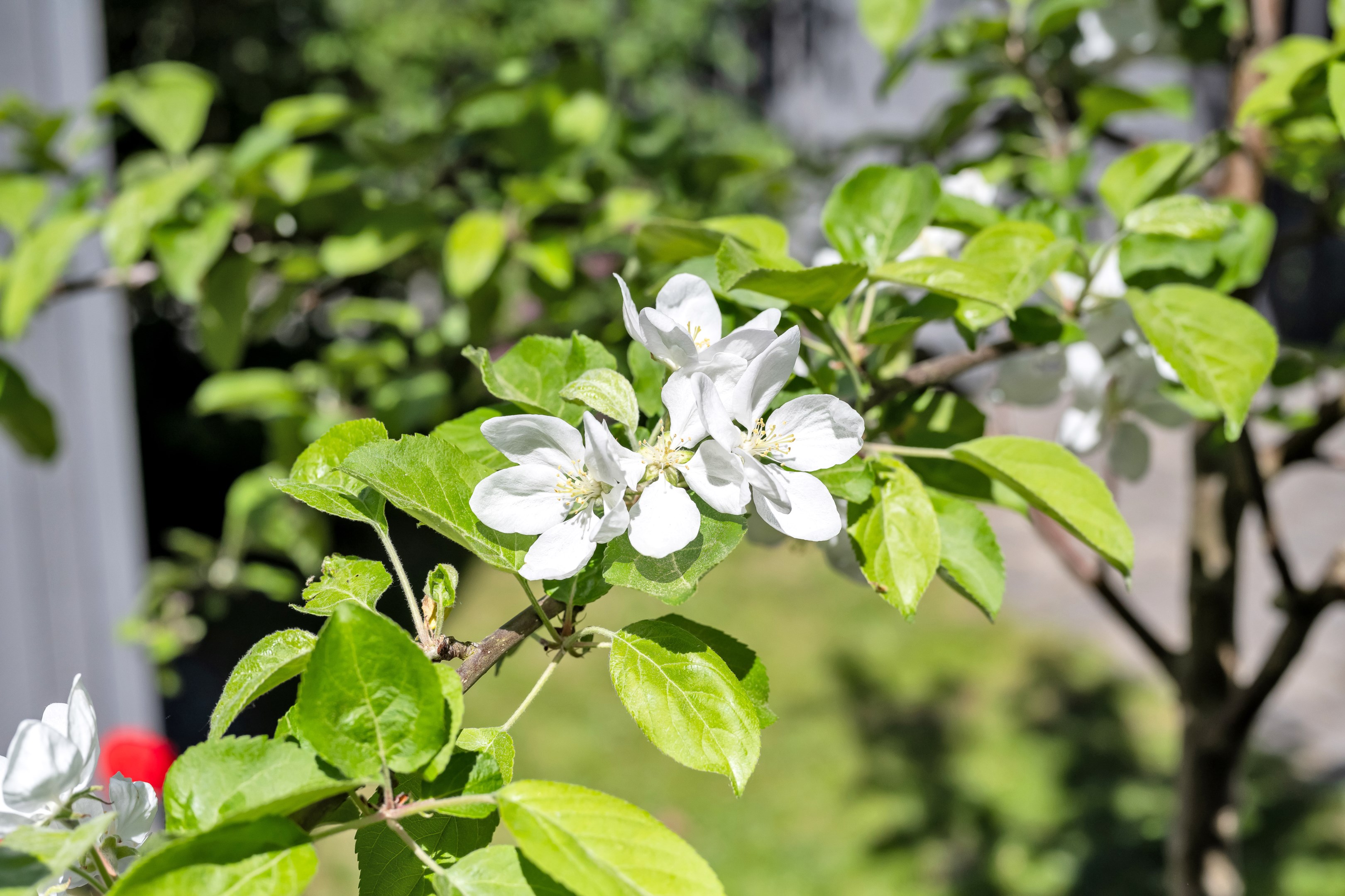 Bostadsbild från Bernadottestigen 28, Snart till salu i Valsätra, Uppsala