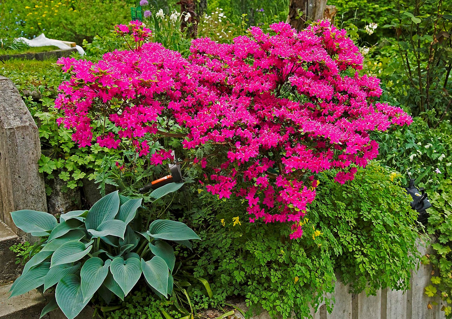 Bostadsbild från Gränsvägen 10, Såld i Lillängen, Nacka