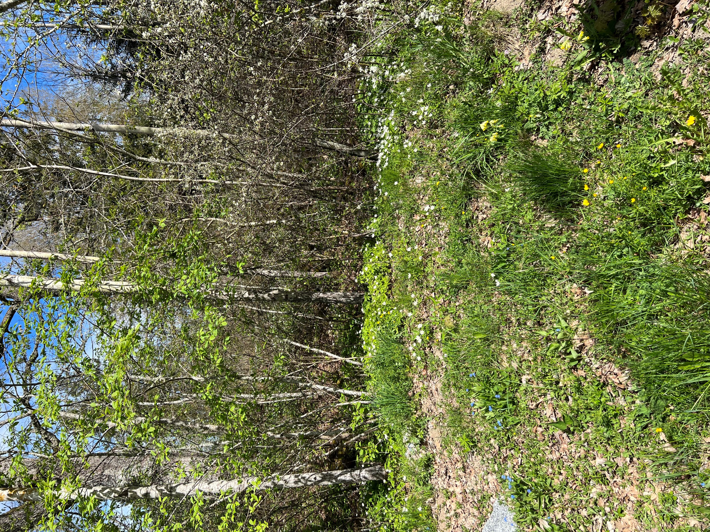 Bostadsbild från Hallkved 295, Såld i Hallkved, Uppsala